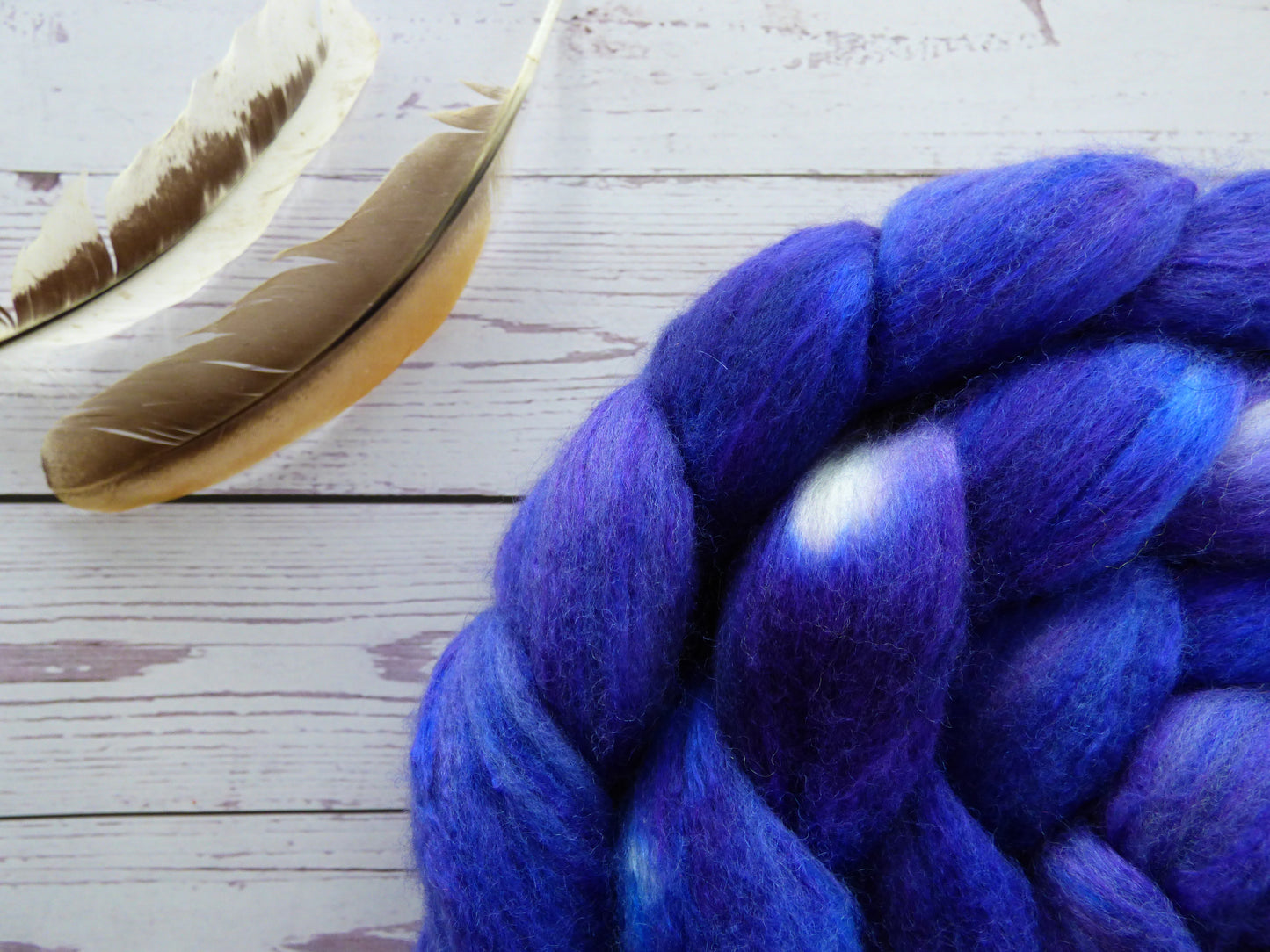 Polwarth Silk