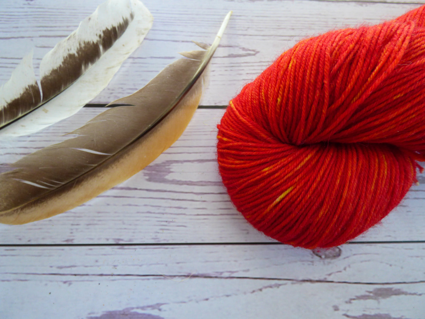 Superwash BFL/Nylon Sock Yarn