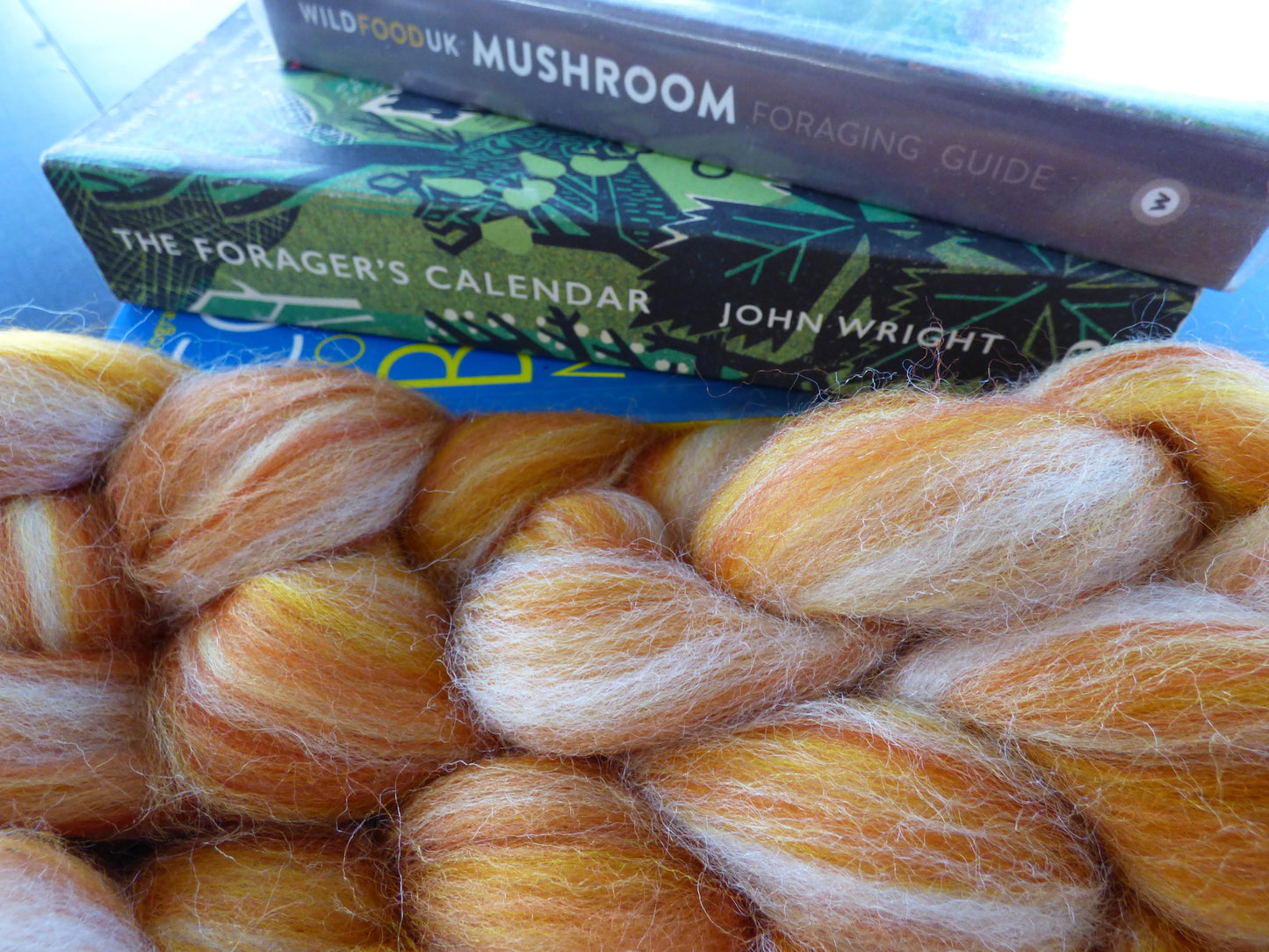 MYCELIUM - Chicken of the Woods