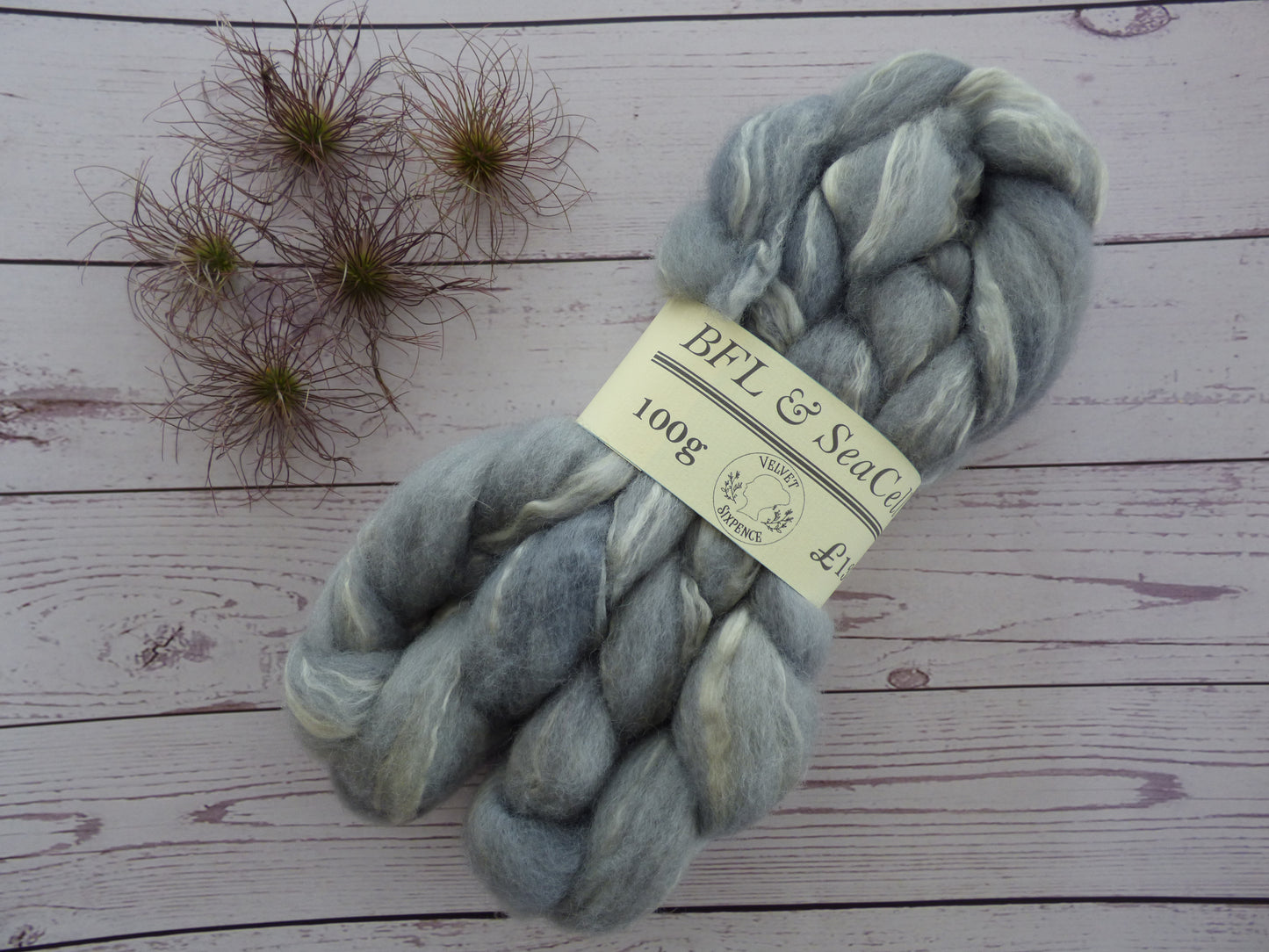 BFL & SeaCell