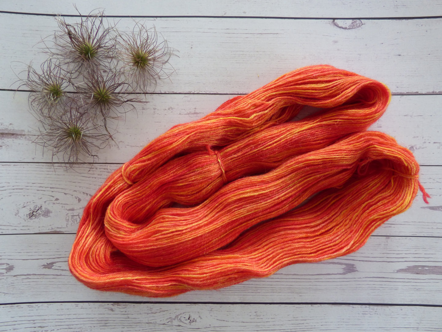 Superwash BFL/Nylon Sock Yarn
