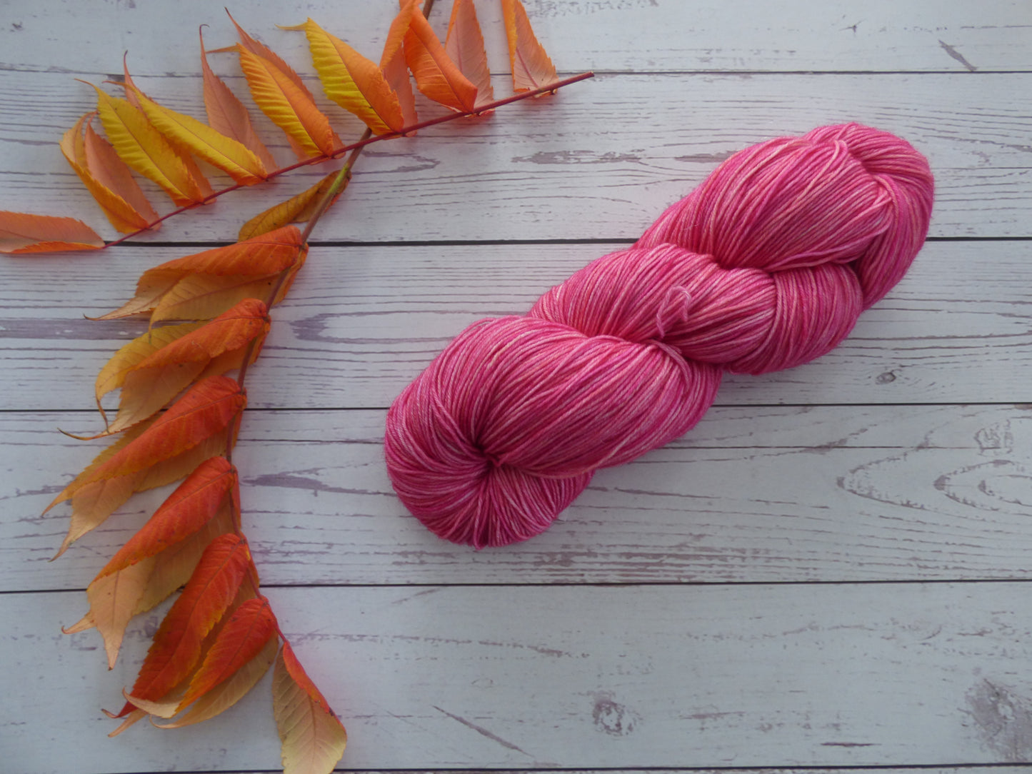 Superwash BFL/Nylon Sock Yarn