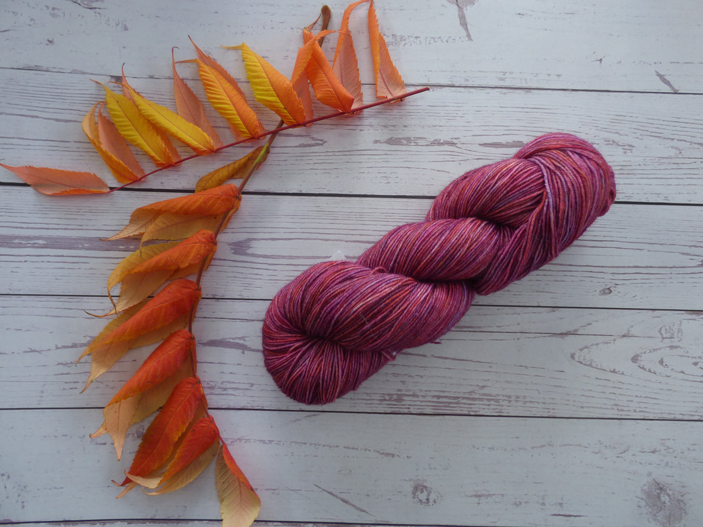 Superwash BFL/Nylon Sock Yarn