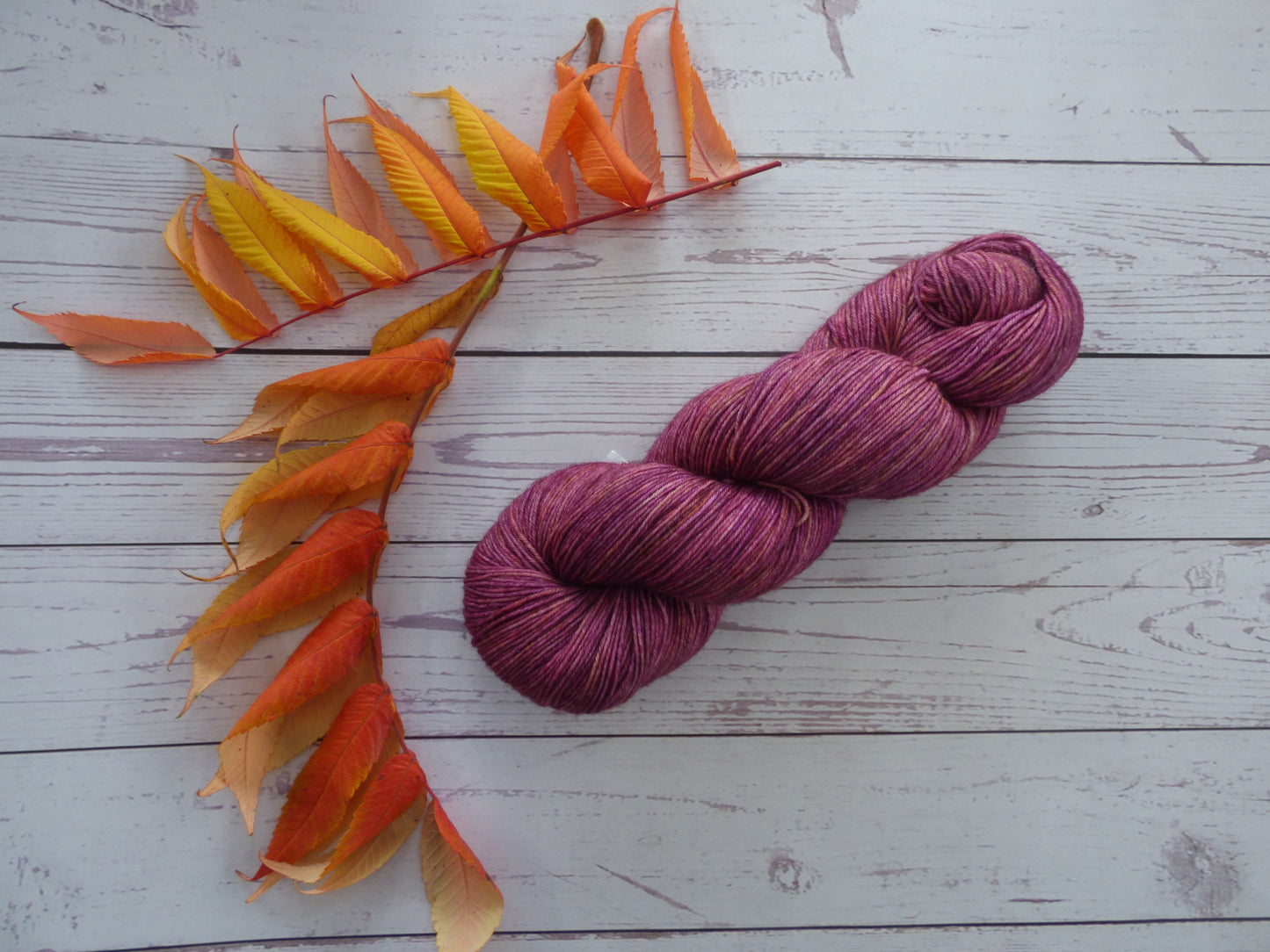 Superwash BFL/Nylon Sock Yarn