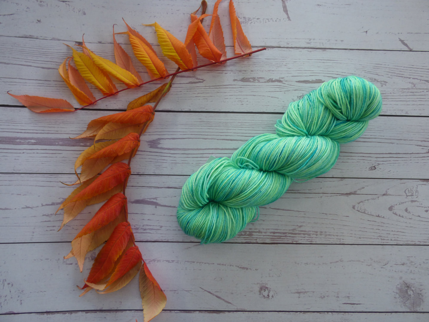 Superwash BFL/Nylon Sock Yarn