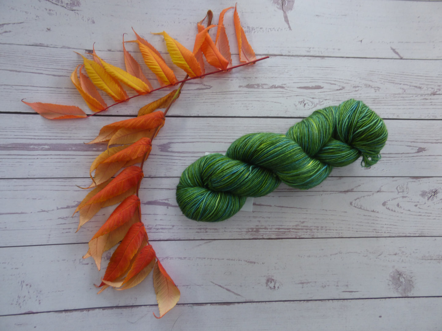 Superwash BFL/Nylon Sock Yarn