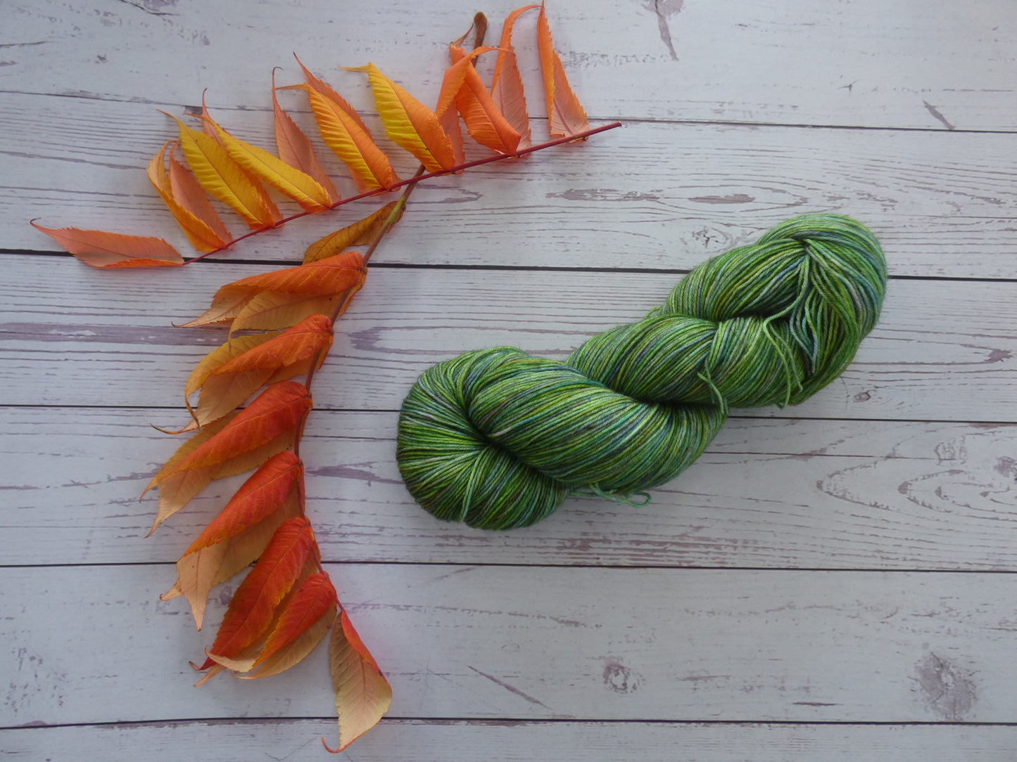 Superwash BFL/Nylon Sock Yarn