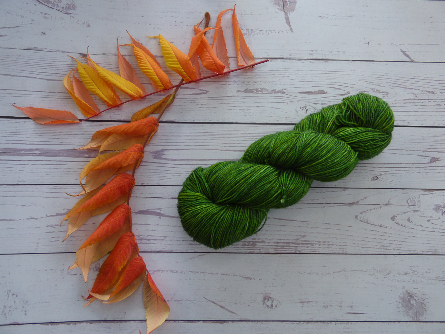 Superwash BFL/Nylon Sock Yarn