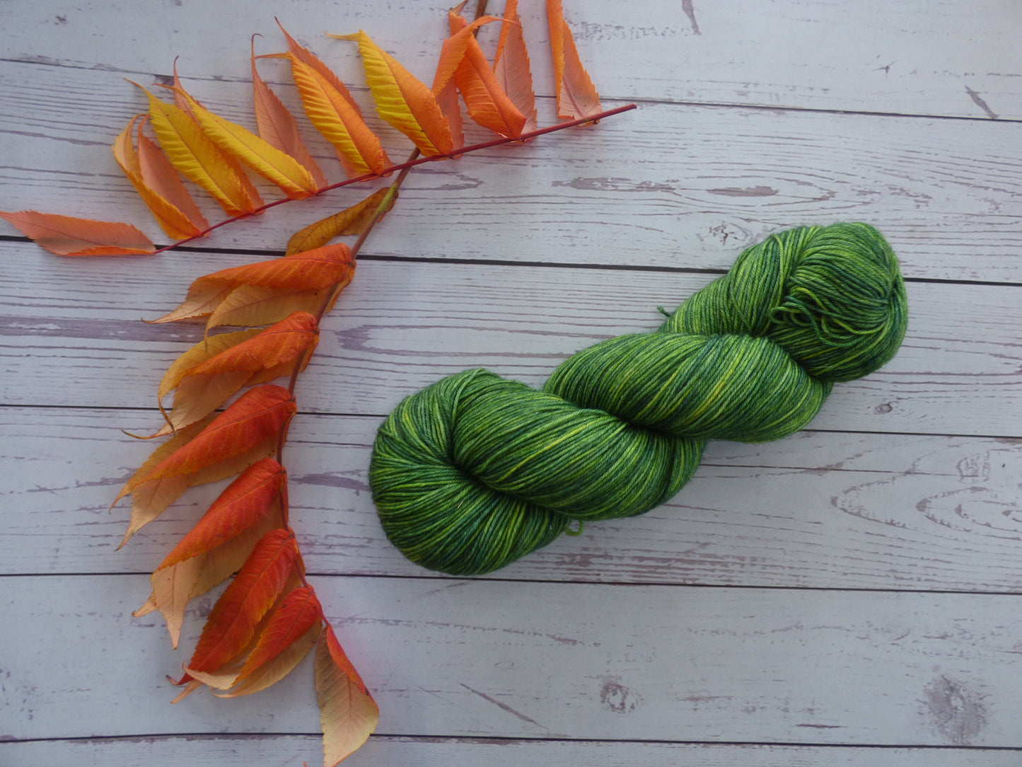 Superwash BFL/Nylon Sock Yarn