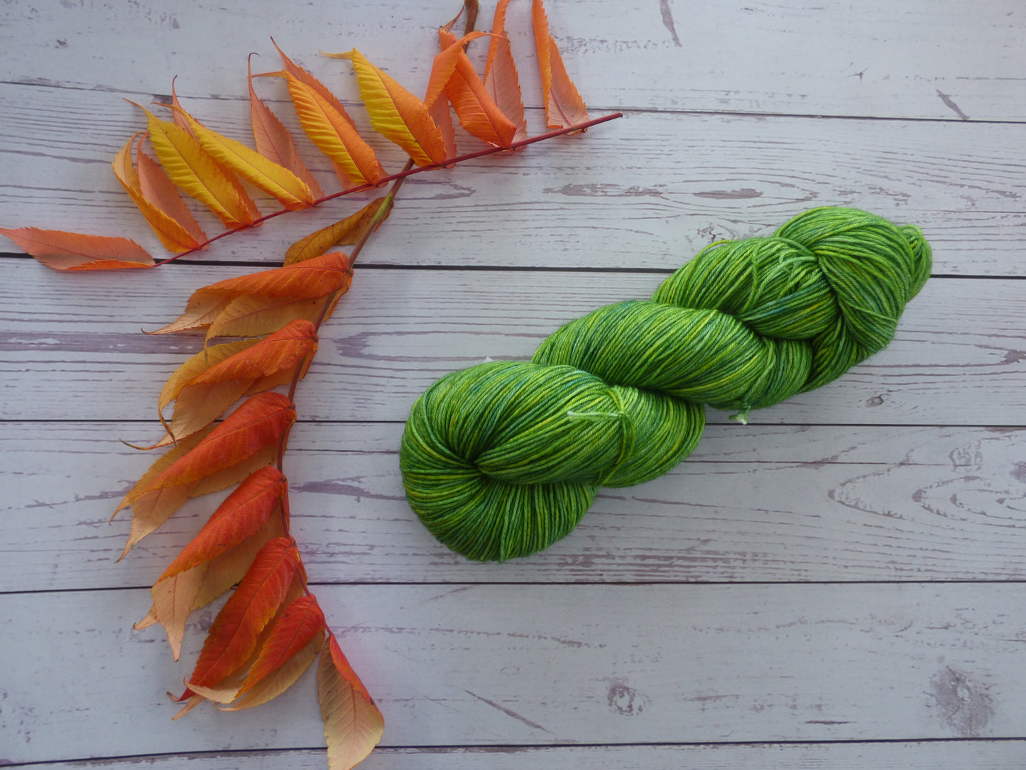 Superwash BFL/Nylon Sock Yarn