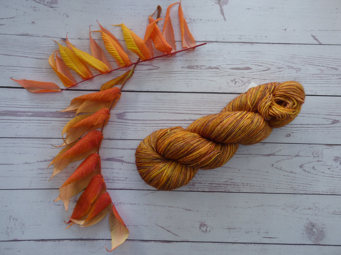 Superwash BFL/Nylon Sock Yarn