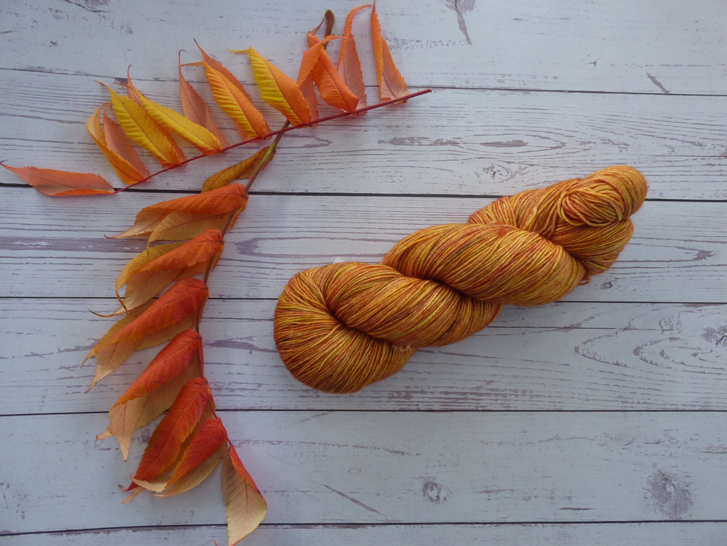 Superwash BFL/Nylon Sock Yarn