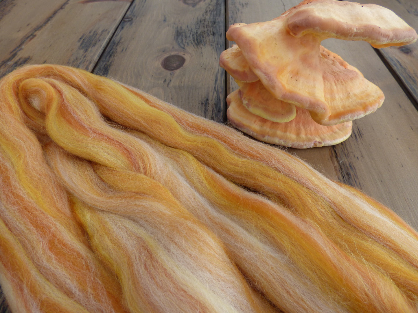 MYCELIUM - Chicken of the Woods