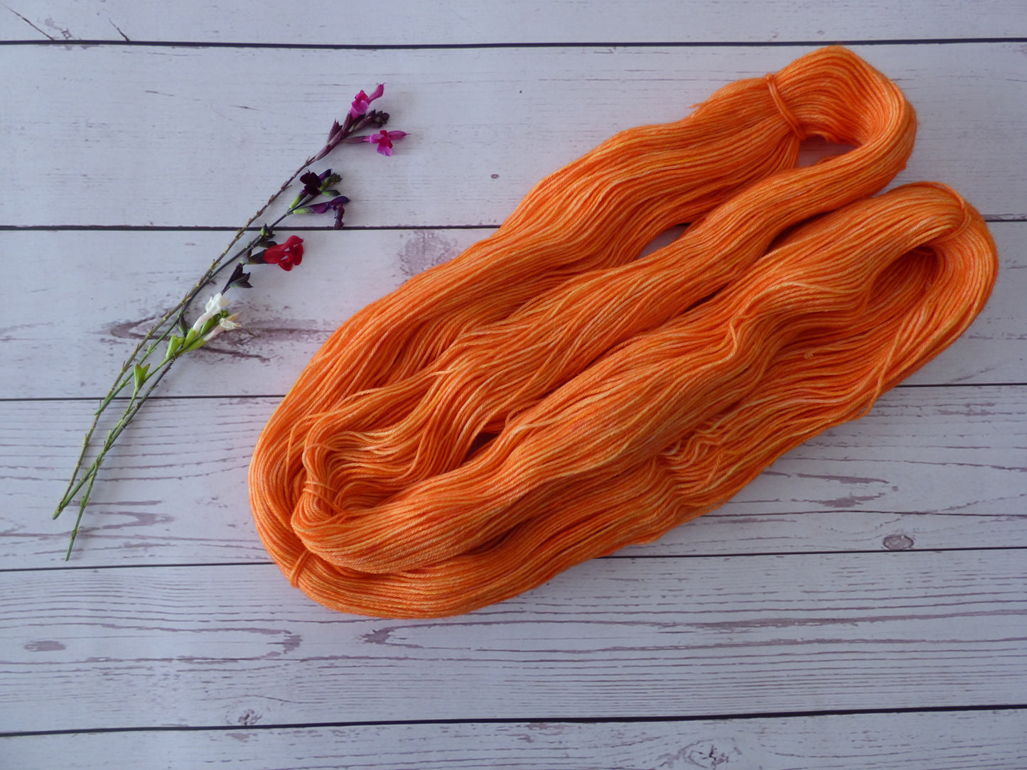 Superwash BFL/Nylon Sock Yarn