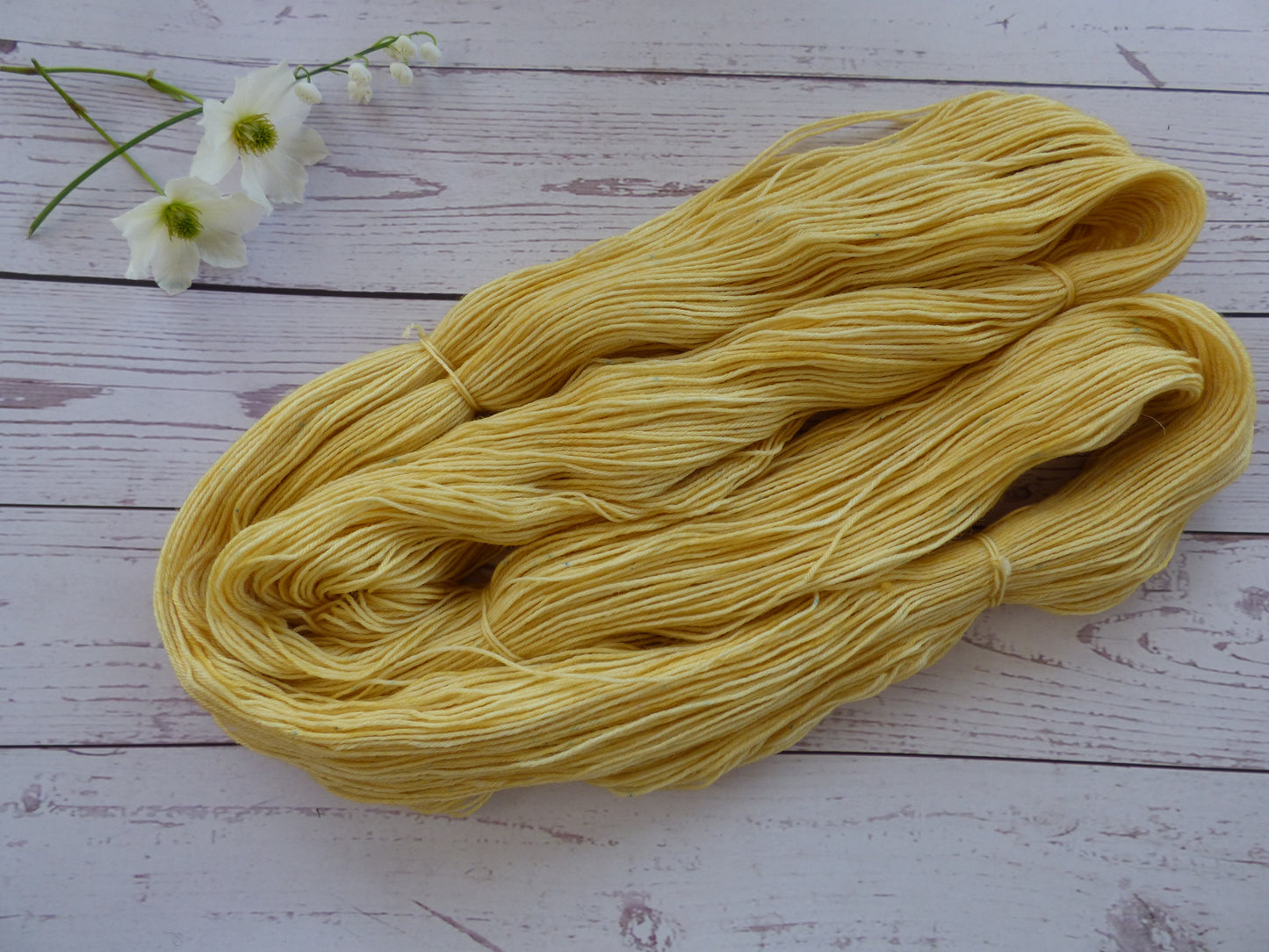 Superwash BFL/Nylon Sock Yarn