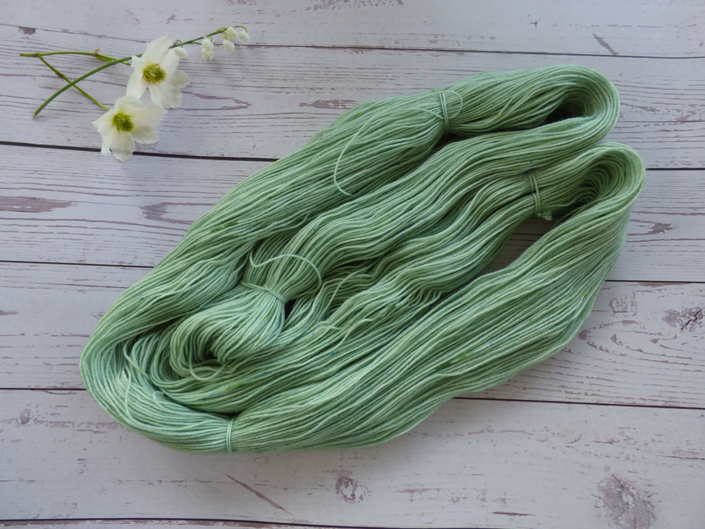 Superwash BFL/Nylon Sock Yarn