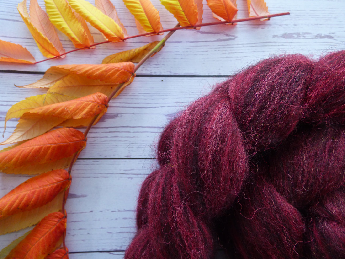 Zwartbles & Exmoor Blueface