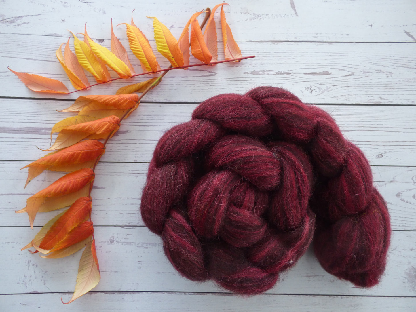 Zwartbles & Exmoor Blueface