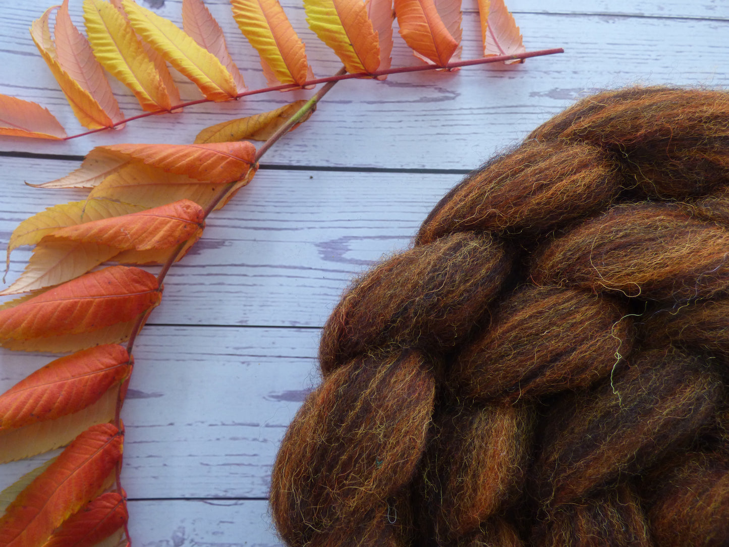 Zwartbles & Exmoor Blueface