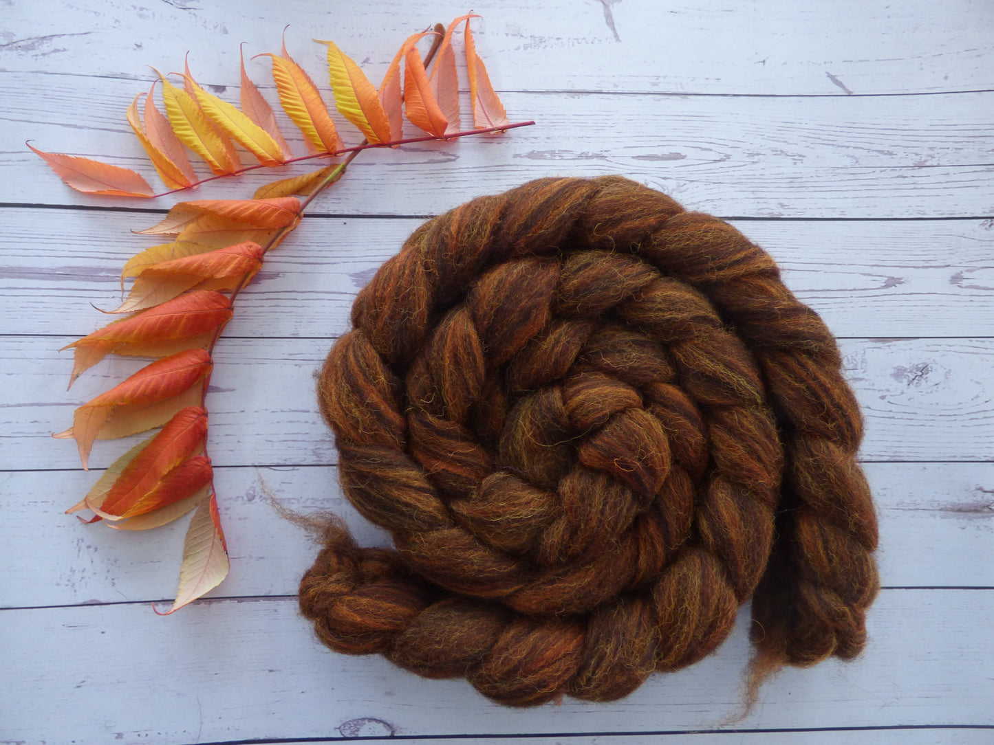 Zwartbles & Exmoor Blueface