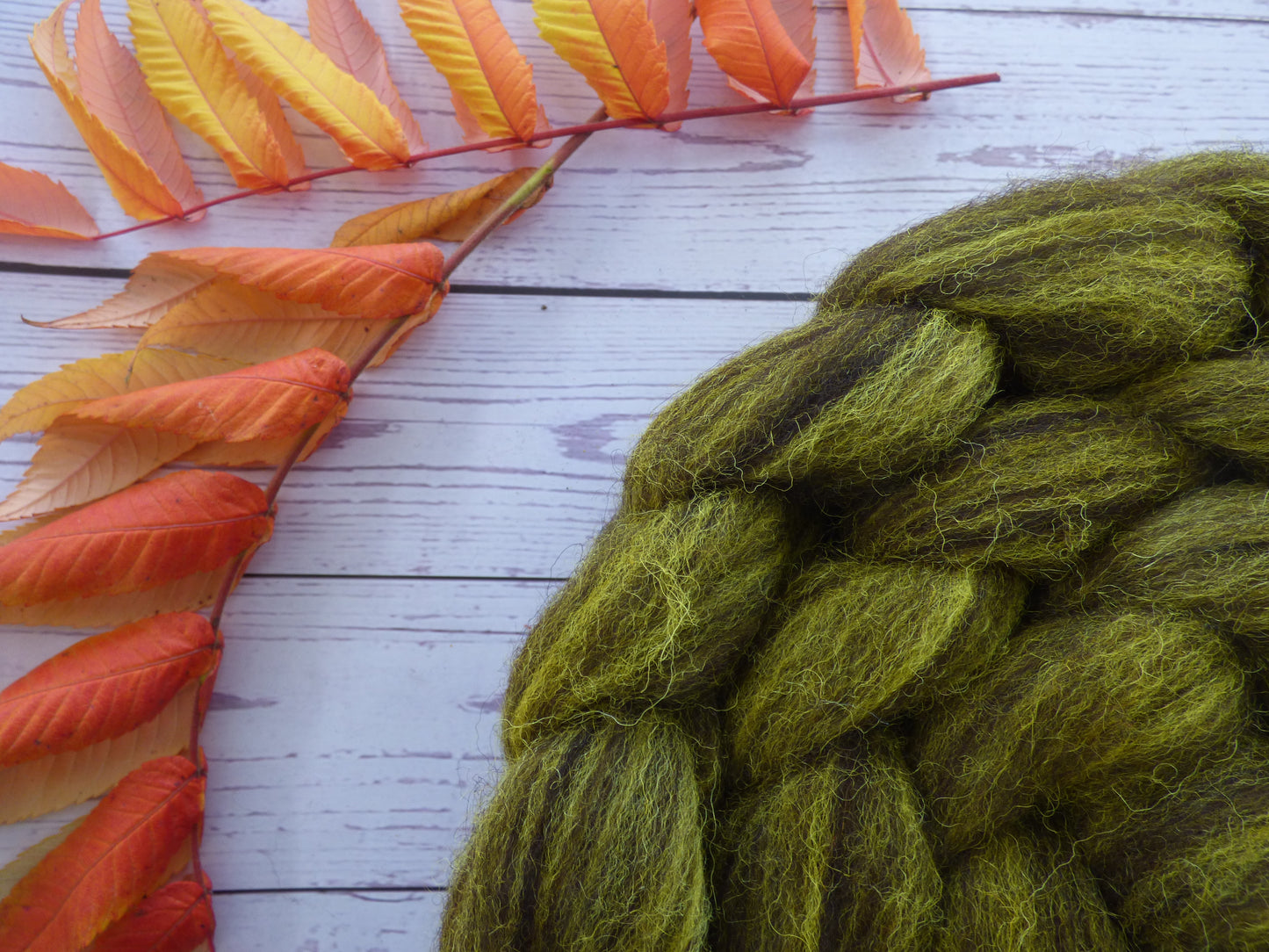 Zwartbles & Exmoor Blueface