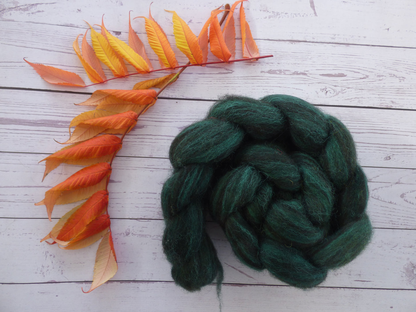 Zwartbles & Exmoor Blueface