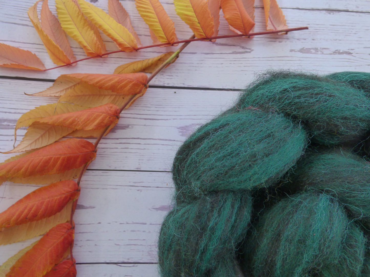 Zwartbles & Exmoor Blueface