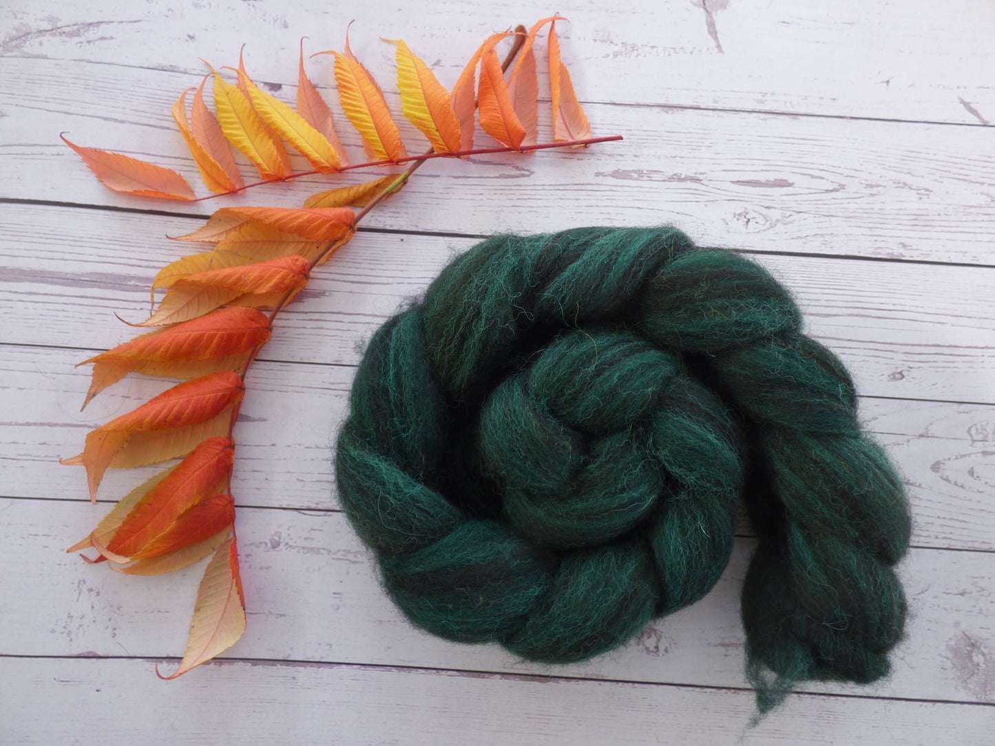 Zwartbles & Exmoor Blueface