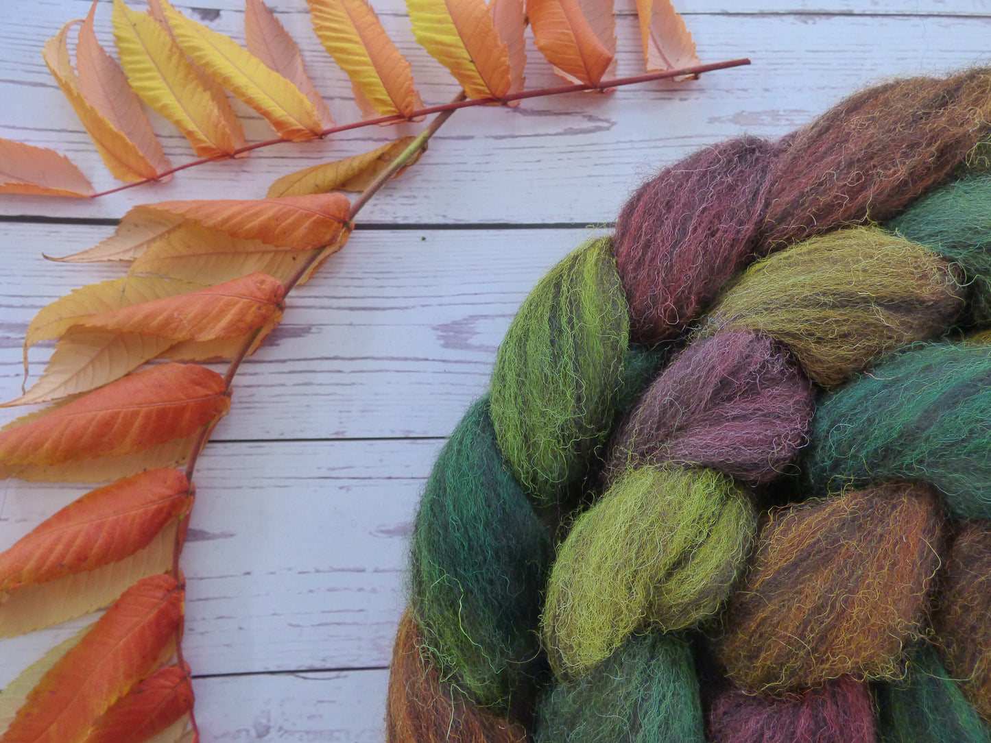 Zwartbles & Exmoor Blueface