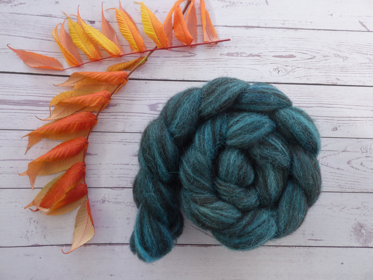 Zwartbles & Exmoor Blueface