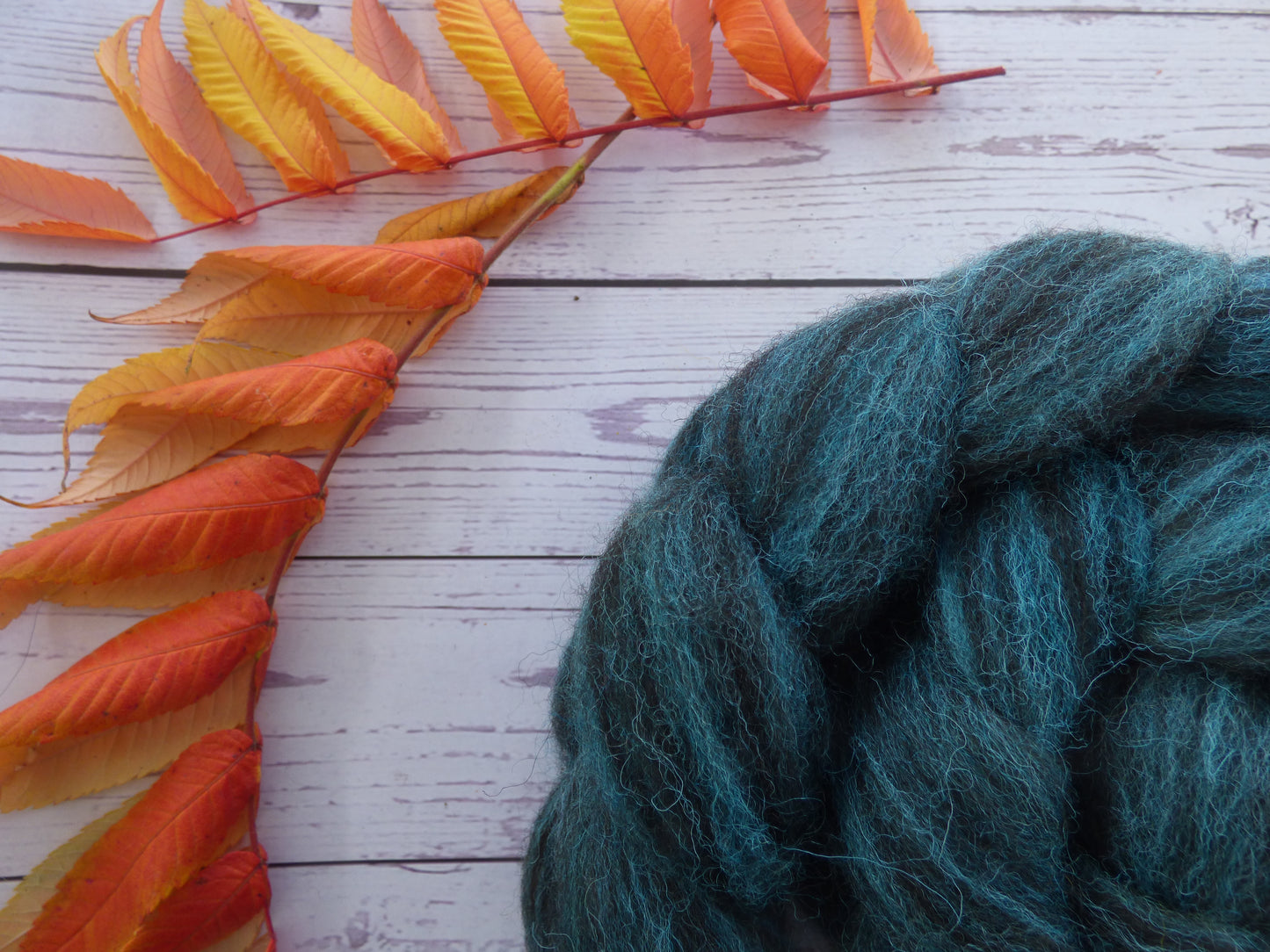 Zwartbles & Exmoor Blueface