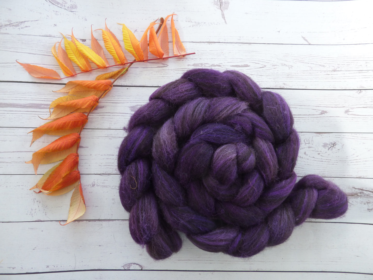 Zwartbles & Exmoor Blueface