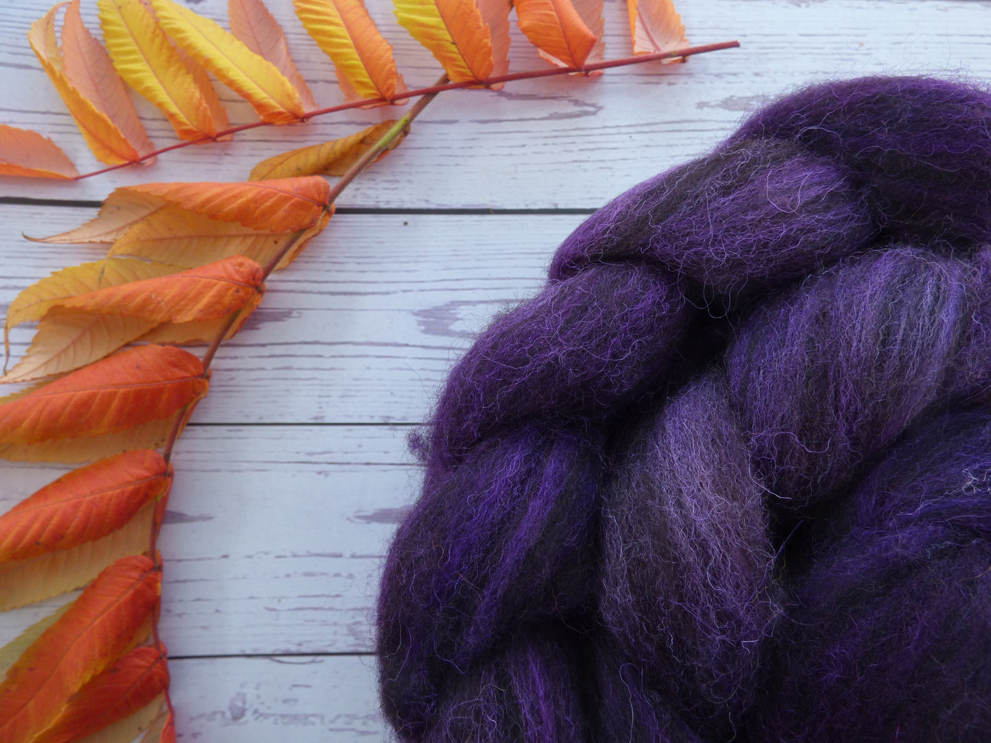 Zwartbles & Exmoor Blueface