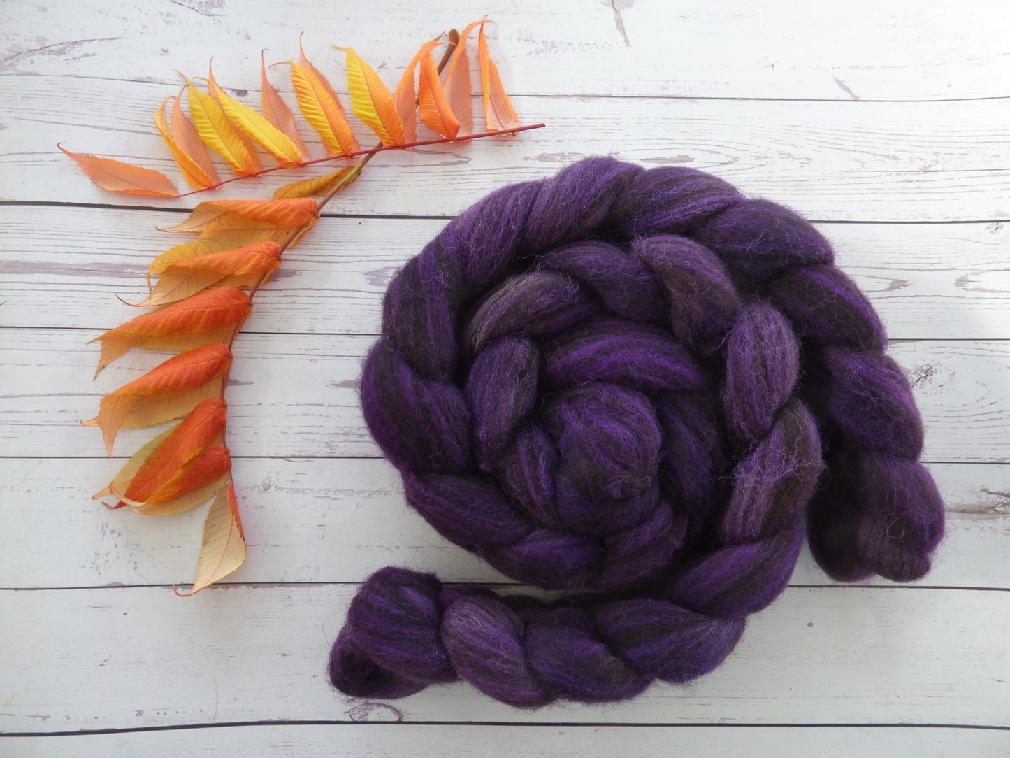 Zwartbles & Exmoor Blueface