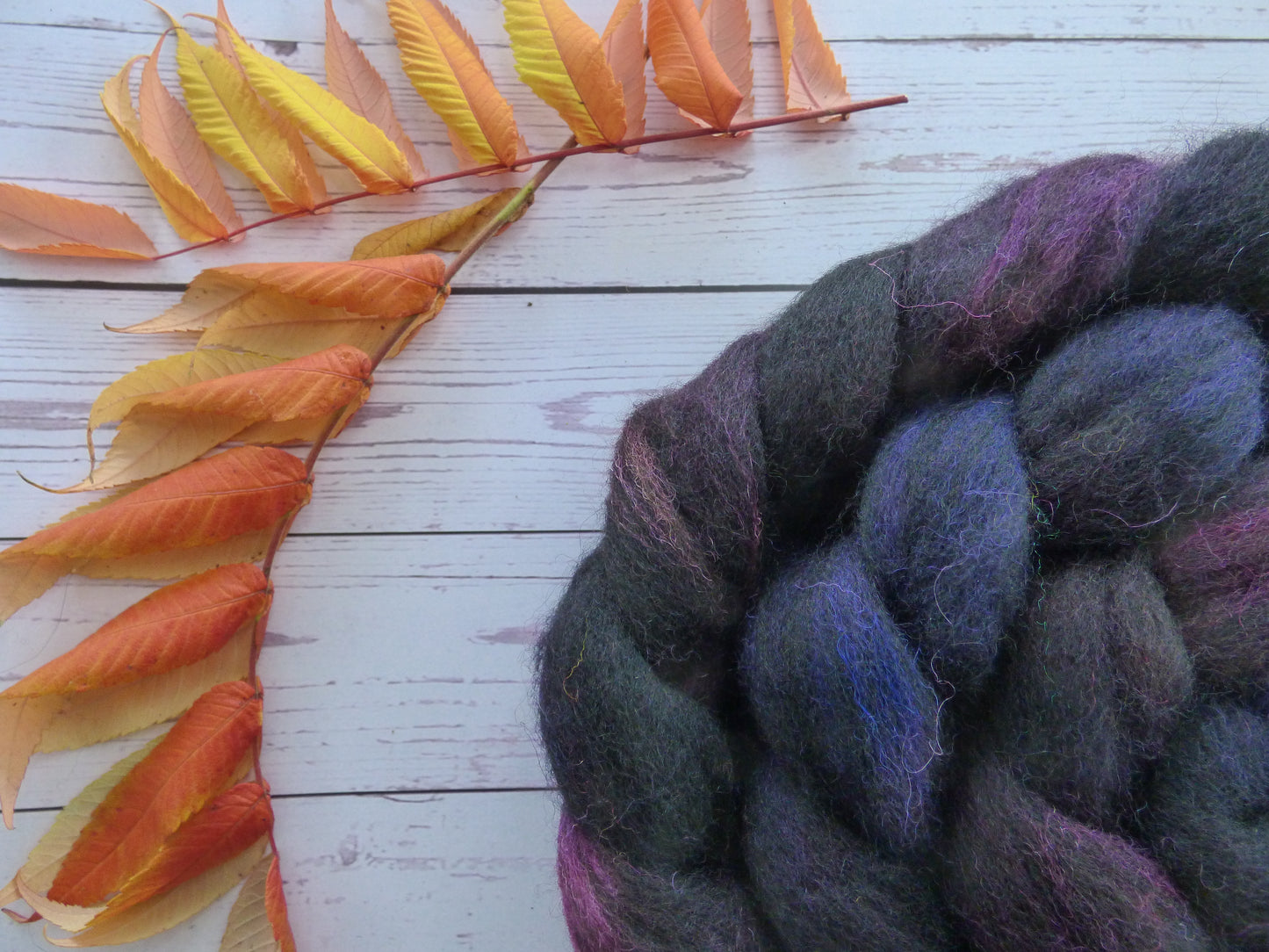 Zwartbles & Exmoor Blueface