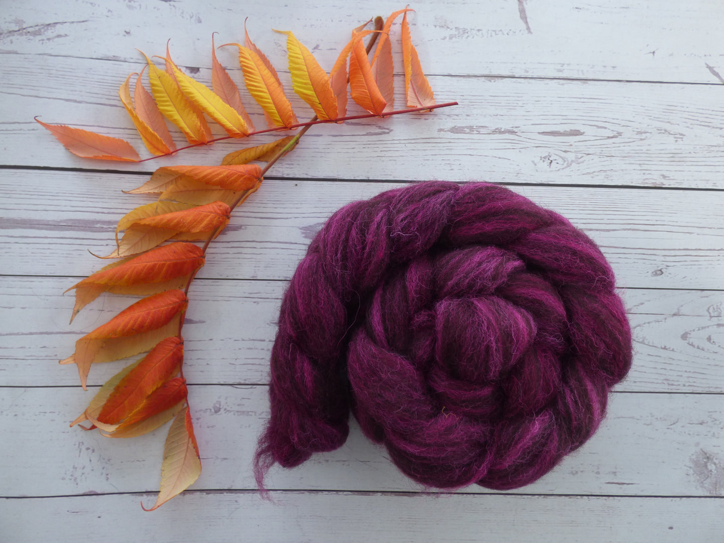 Zwartbles & Exmoor Blueface