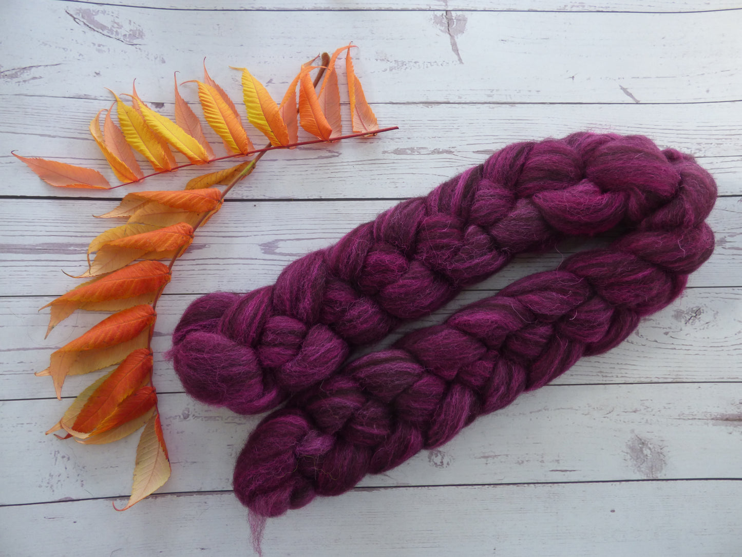 Zwartbles & Exmoor Blueface