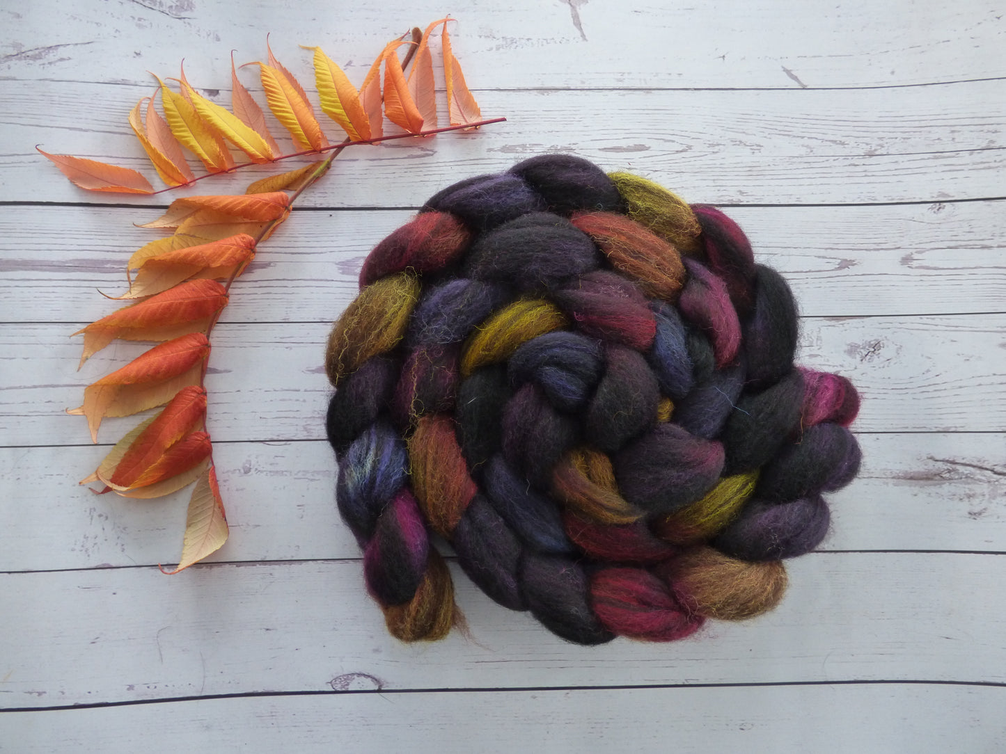 Zwartbles & Exmoor Blueface