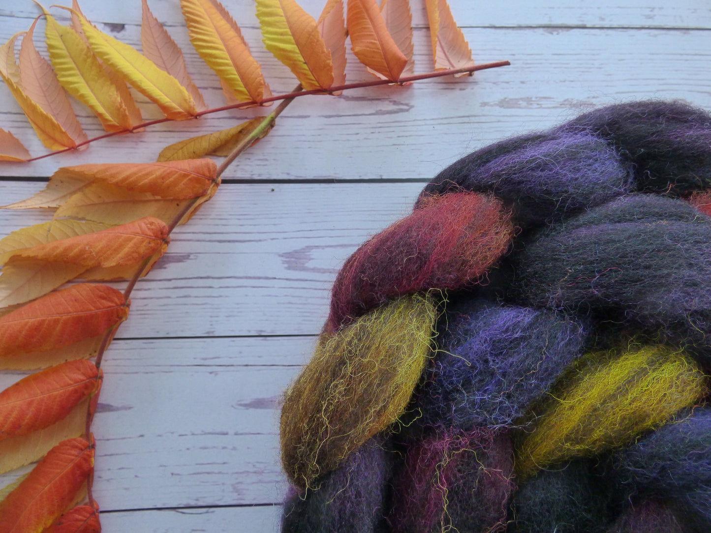 Zwartbles & Exmoor Blueface