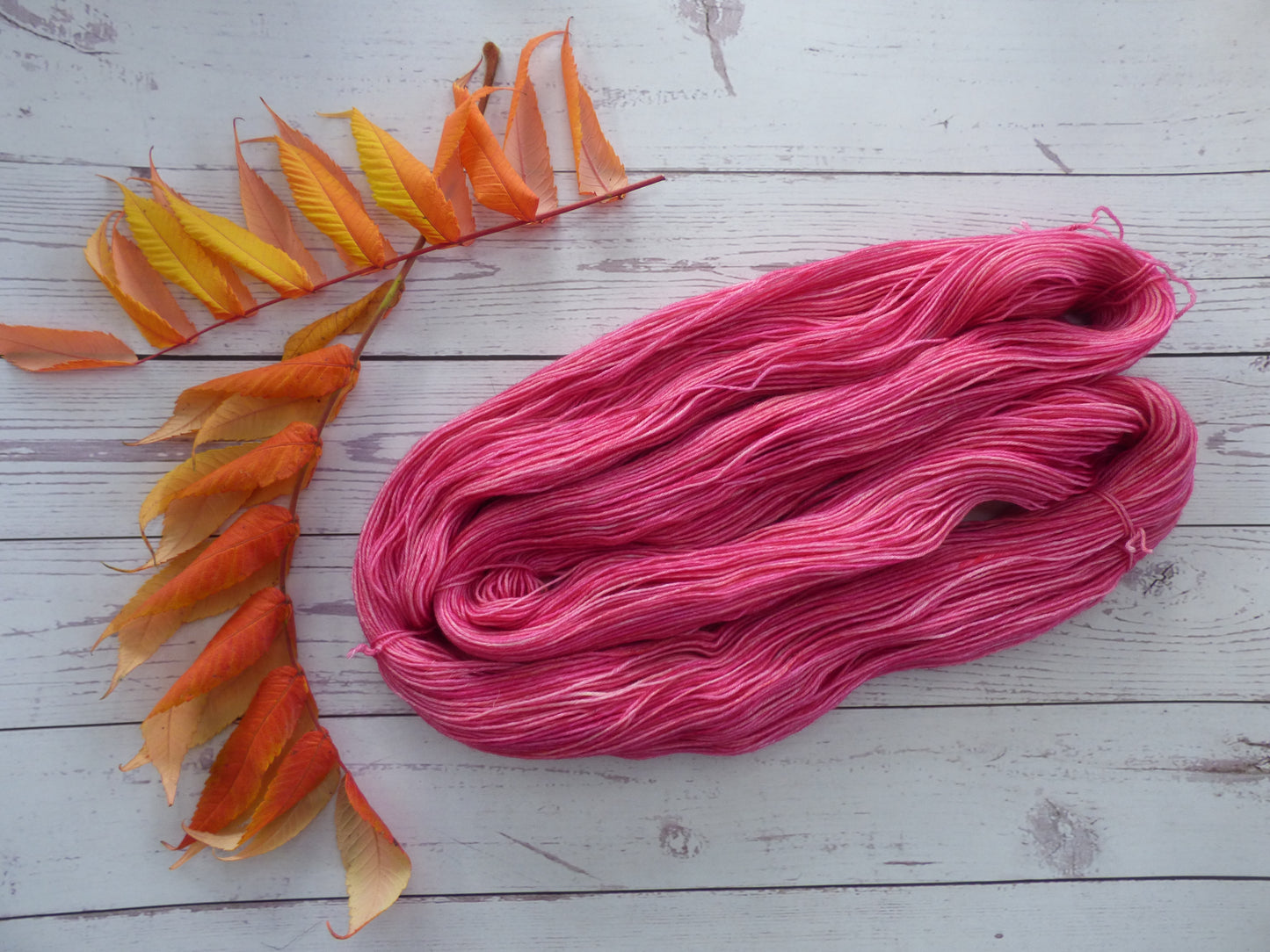 Superwash BFL/Nylon Sock Yarn