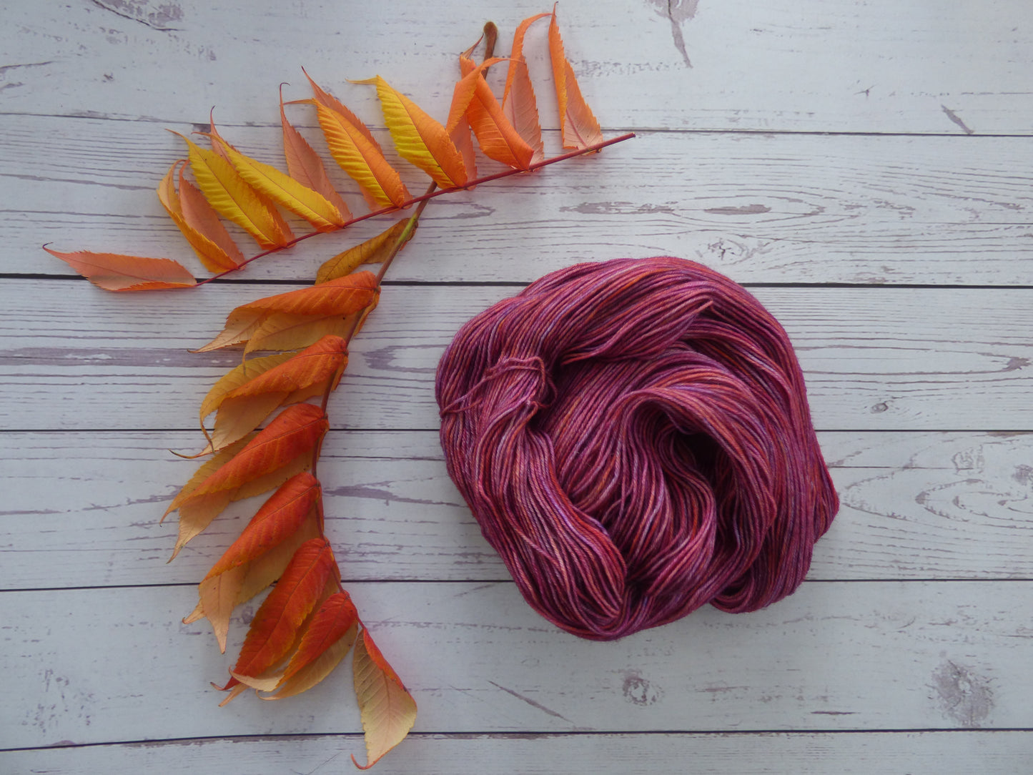 Superwash BFL/Nylon Sock Yarn