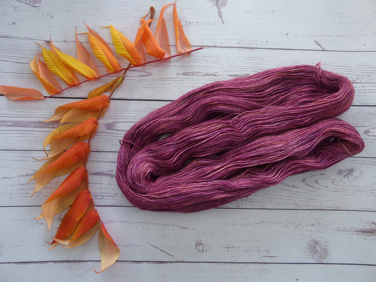 Superwash BFL/Nylon Sock Yarn