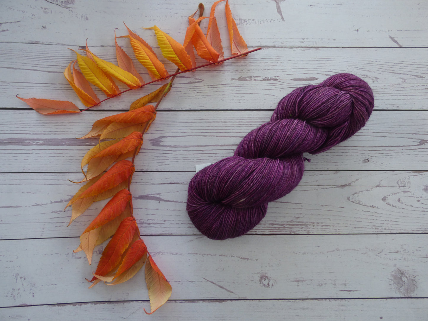 Superwash BFL/Nylon Sock Yarn