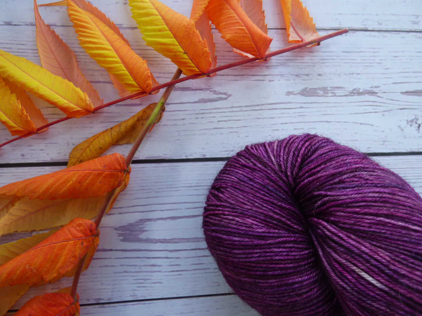 Superwash BFL/Nylon Sock Yarn