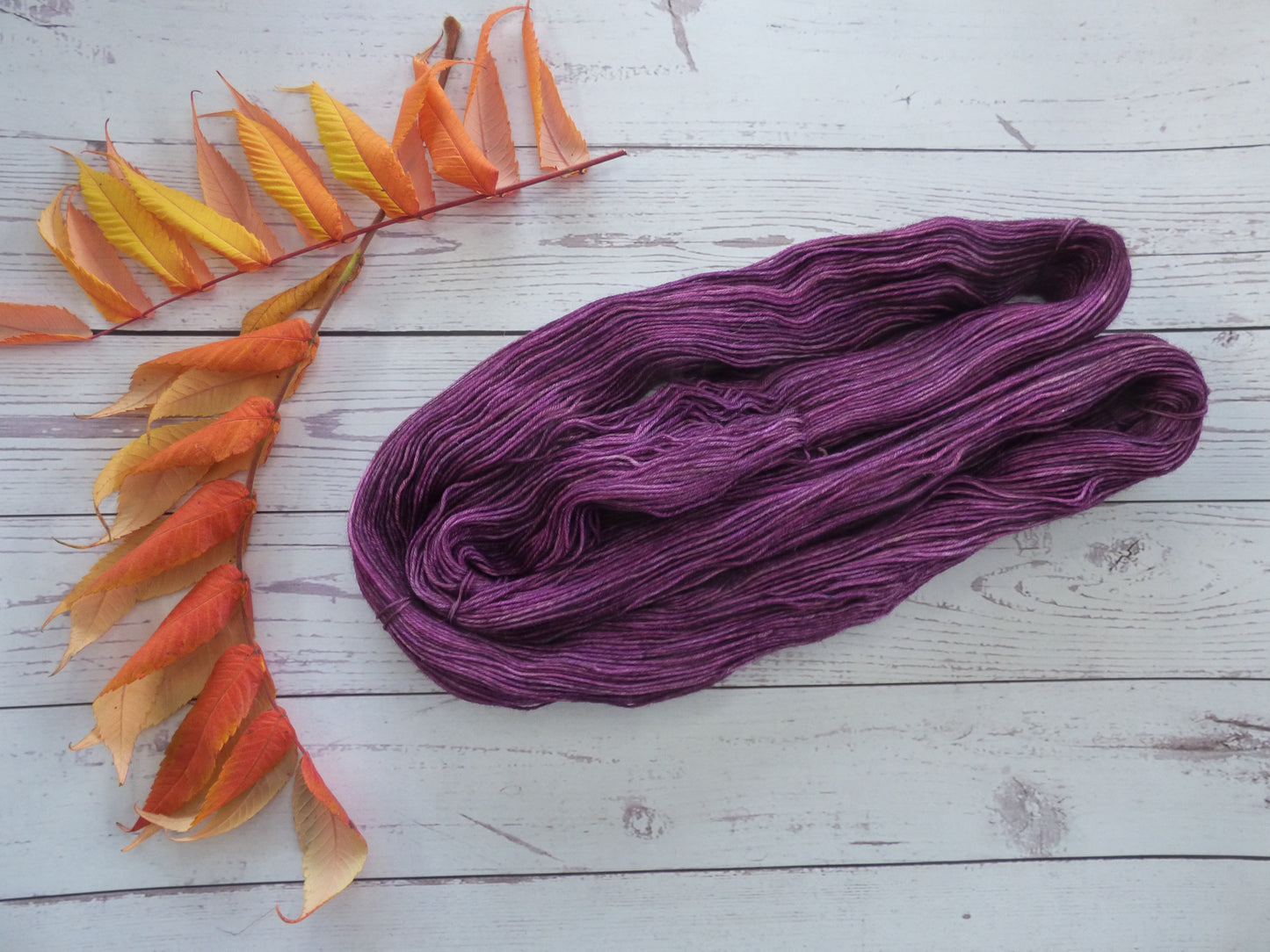 Superwash BFL/Nylon Sock Yarn