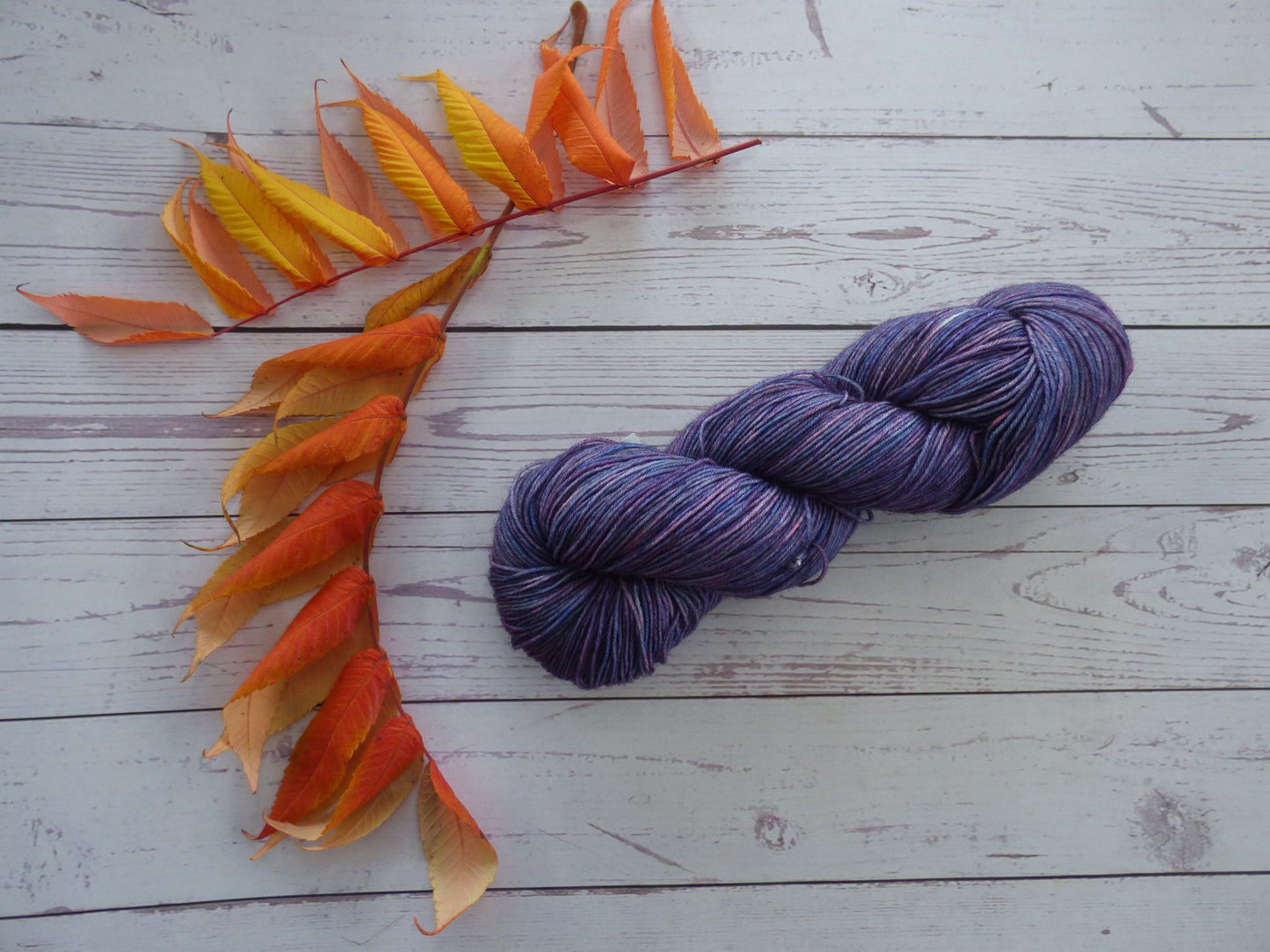 Superwash BFL/Nylon Sock Yarn