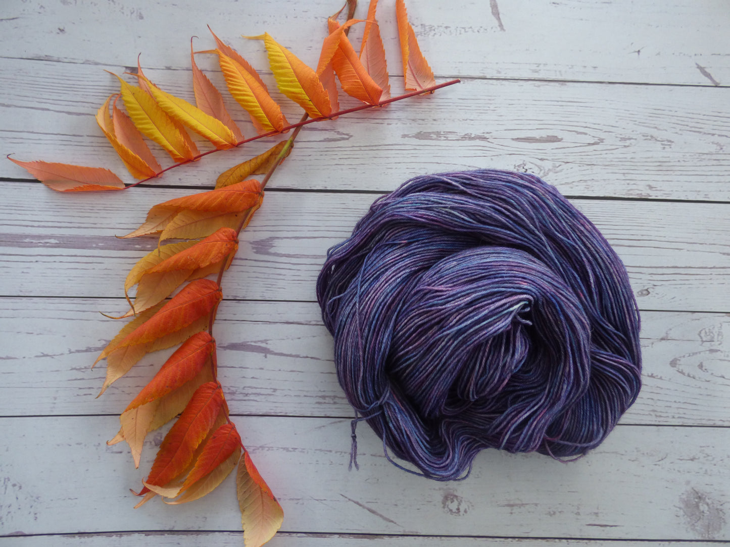 Superwash BFL/Nylon Sock Yarn