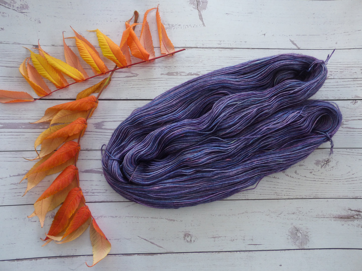 Superwash BFL/Nylon Sock Yarn