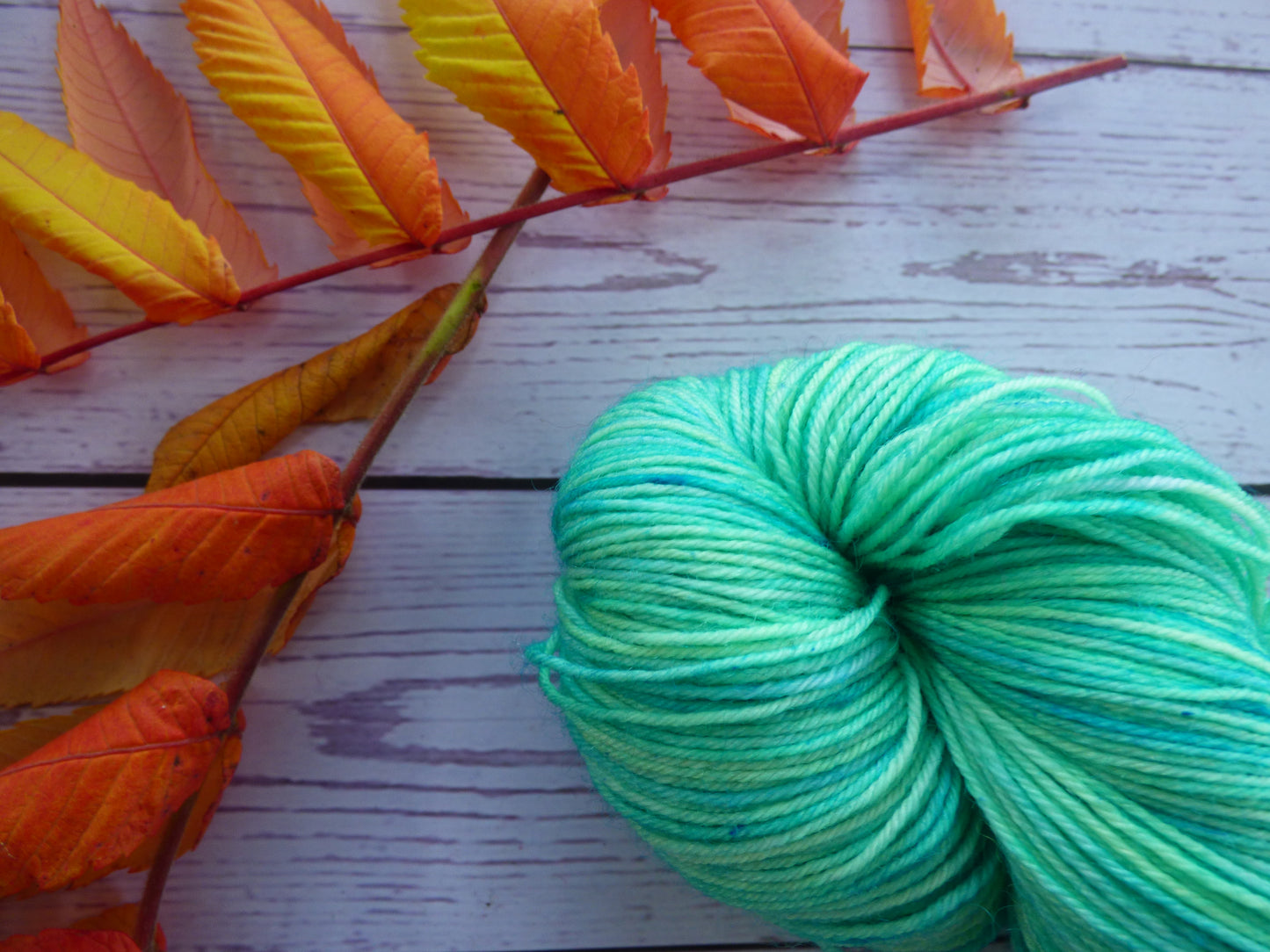 Superwash BFL/Nylon Sock Yarn