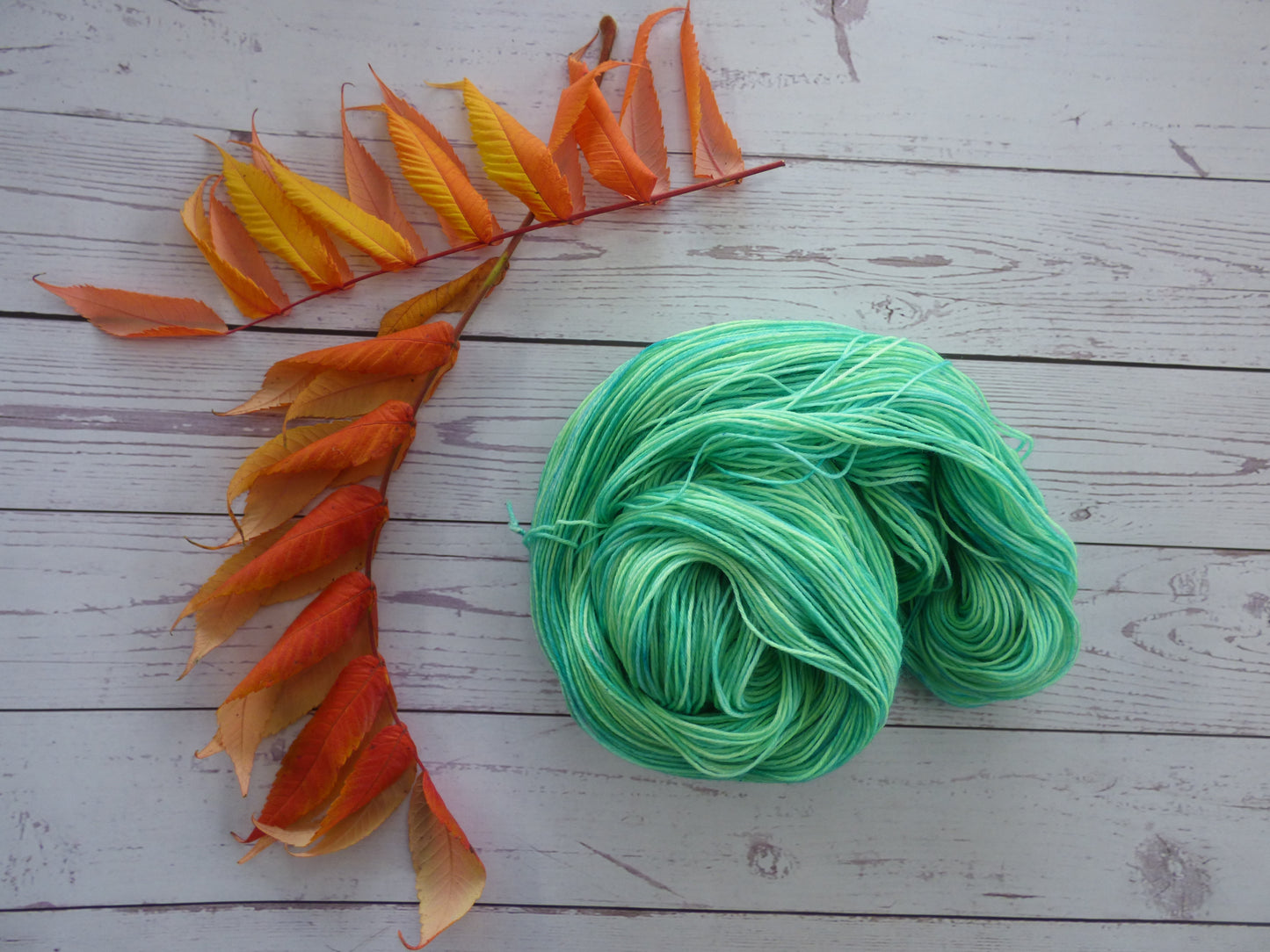 Superwash BFL/Nylon Sock Yarn